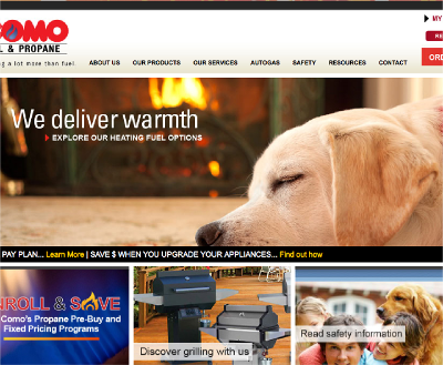 Website Development